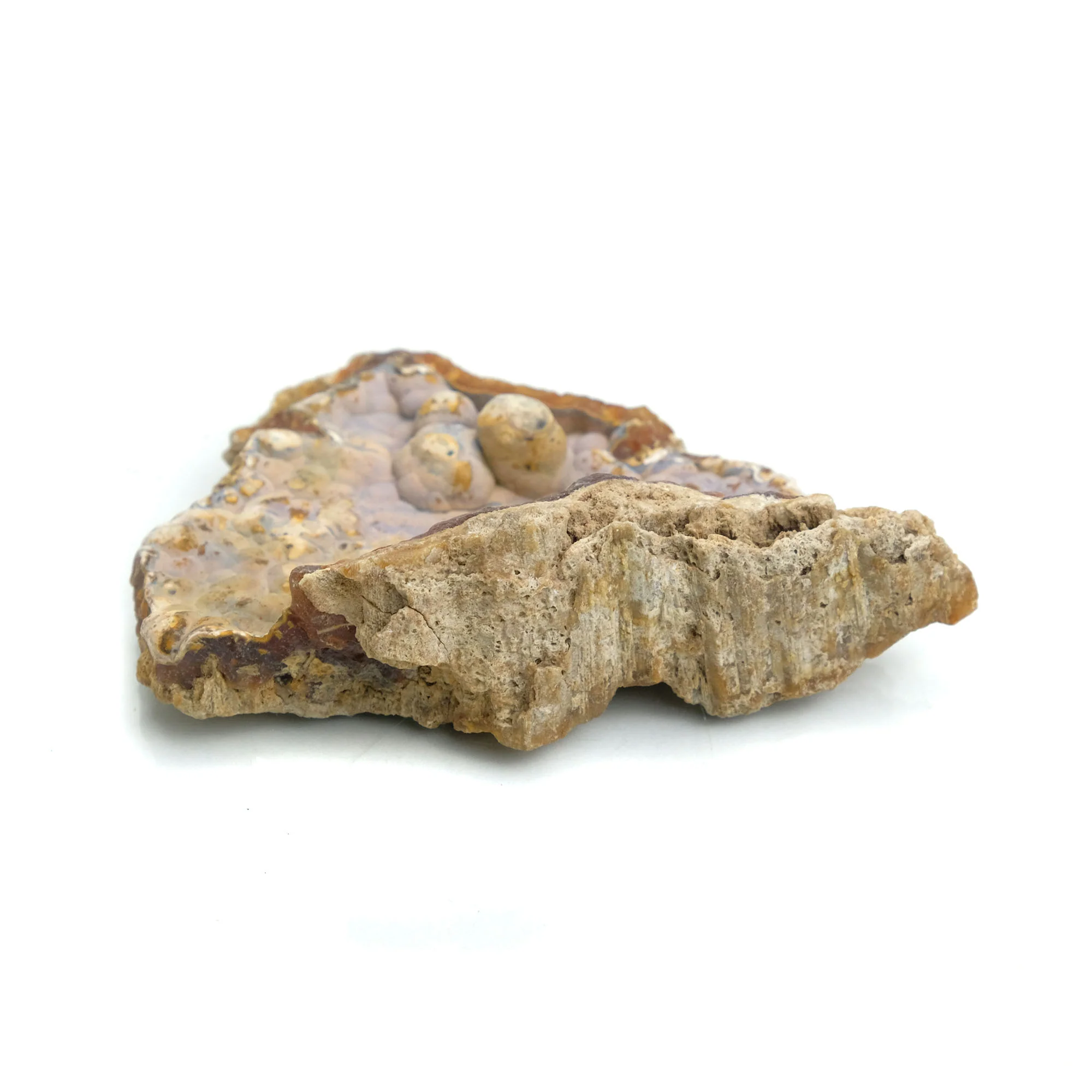 Fossilized Coral in Botryoidal Form with Silicate Druzy Specimen #97 - Image 4