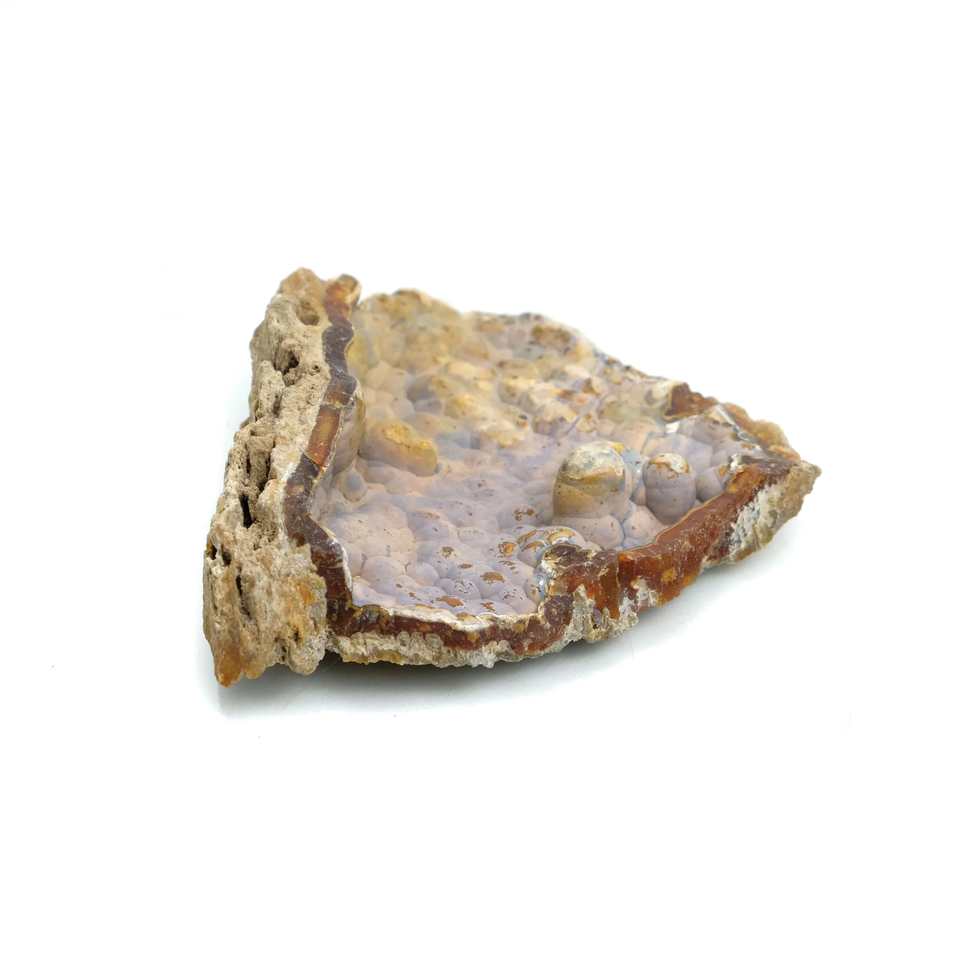 Fossilized Coral in Botryoidal Form with Silicate Druzy Specimen #97 - Image 5