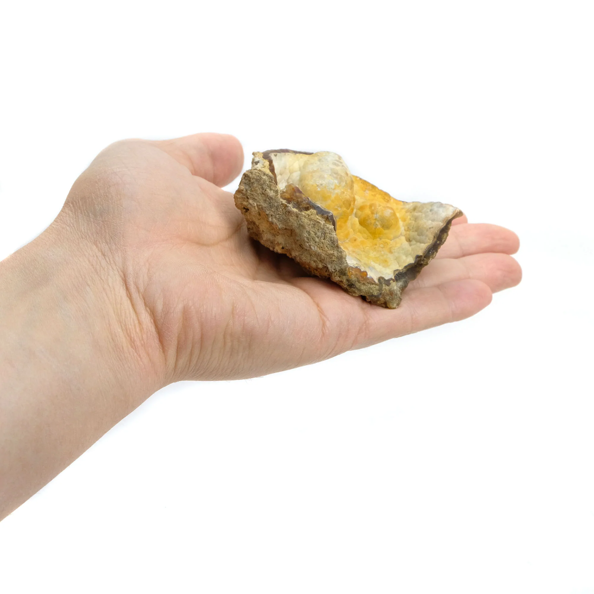 Fossilized Coral in Botryoidal Form with Silicate Druzy Specimen #98 - Image 2