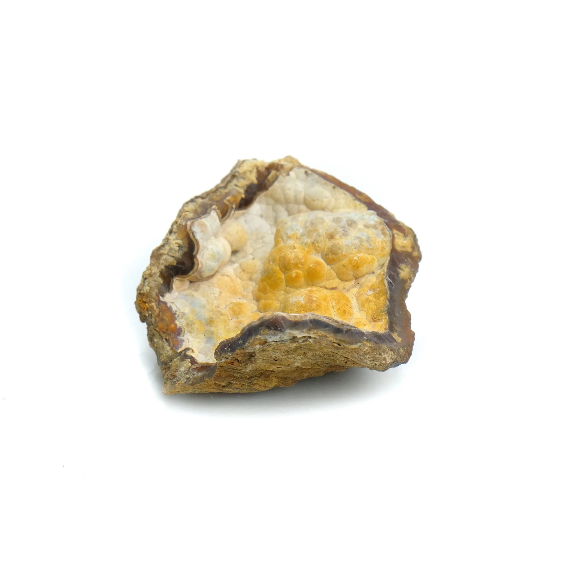 Fossilized Coral in Botryoidal Form with Silicate Druzy Specimen #98 - Image 3