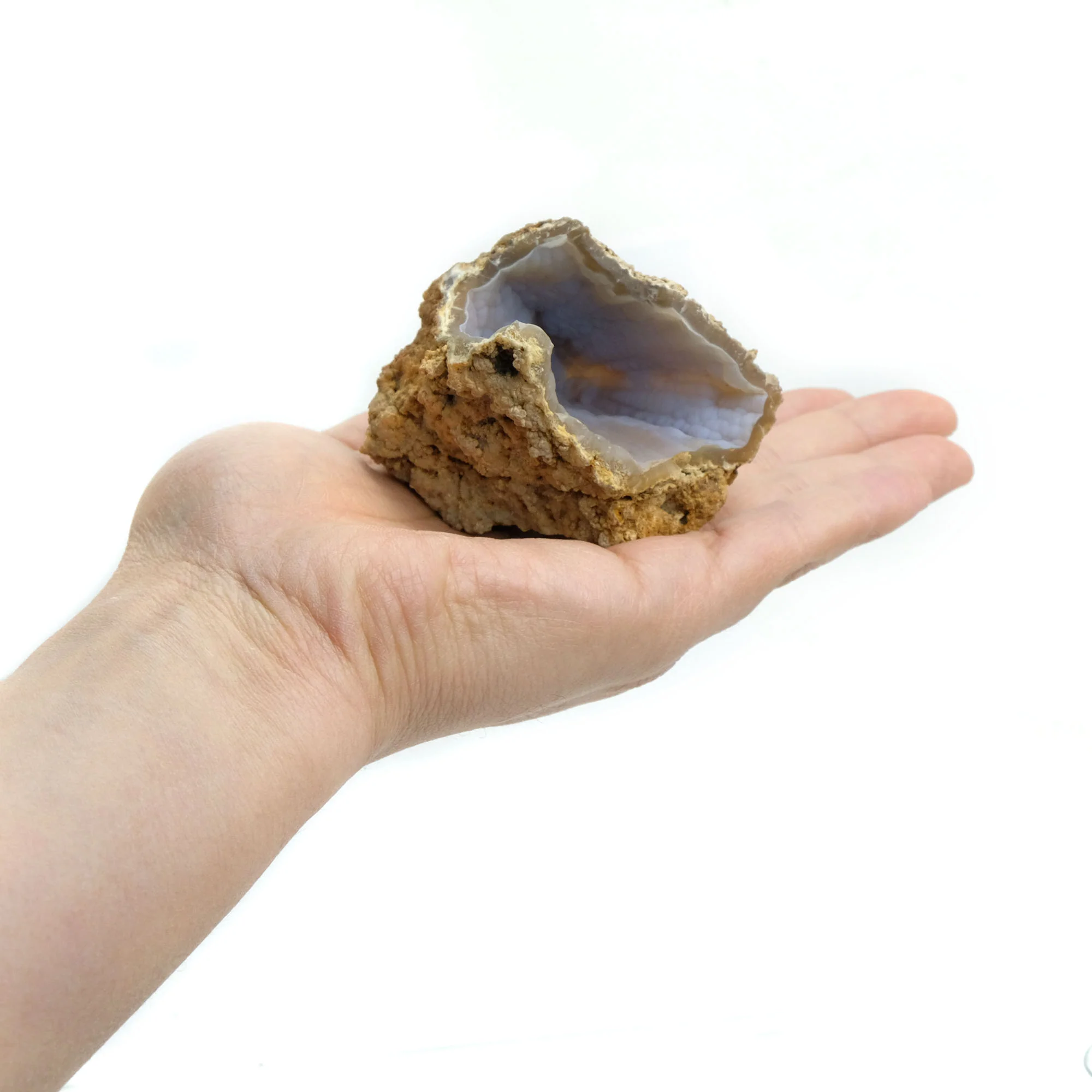 Fossilized Coral in Botryoidal Form with Silicate Druzy Specimen #99 - Image 2