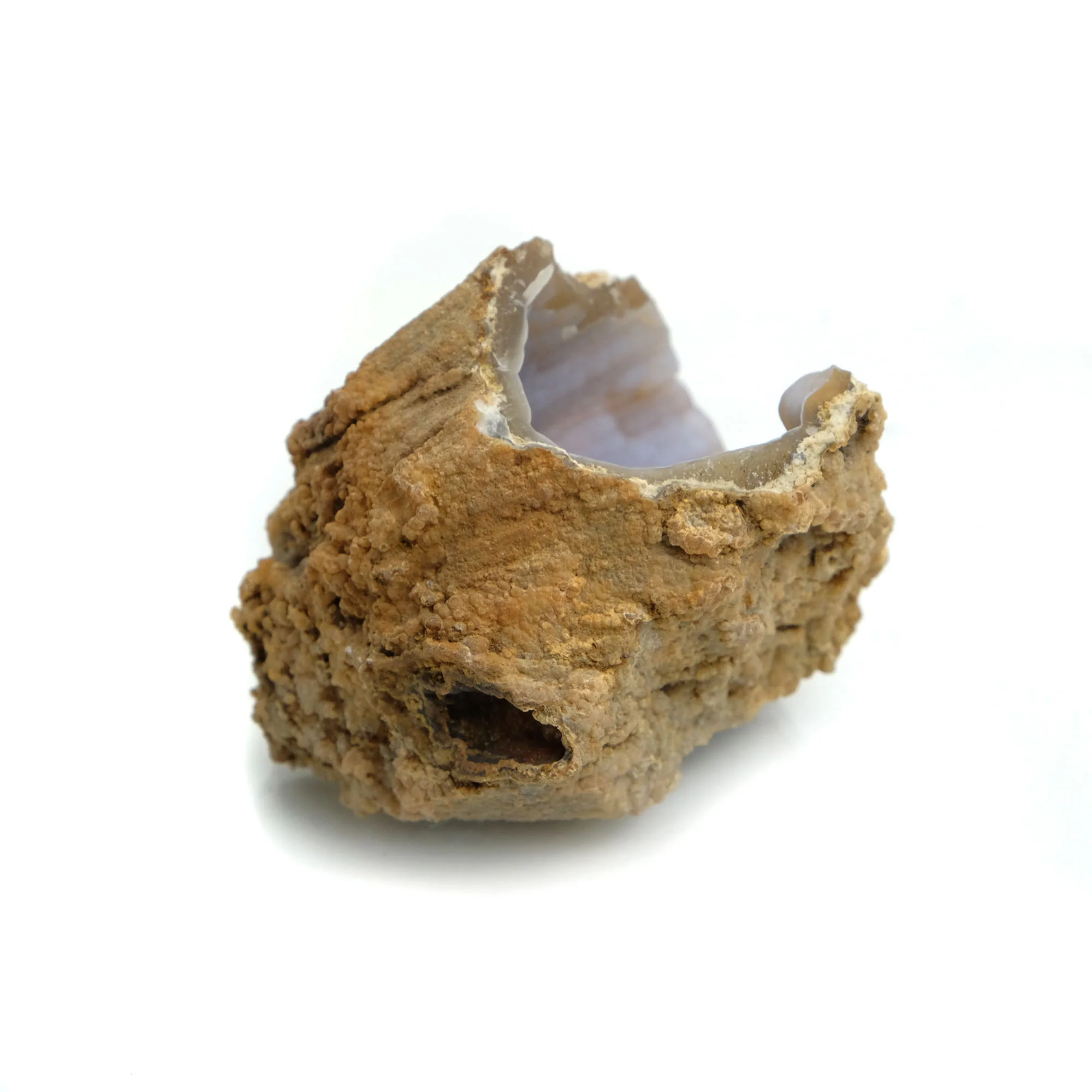 Fossilized Coral in Botryoidal Form with Silicate Druzy Specimen #99 - Image 3