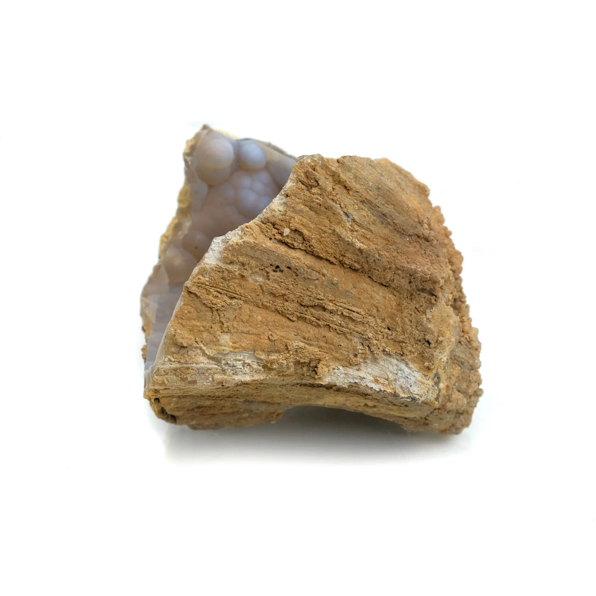 Fossilized Coral in Botryoidal Form with Silicate Druzy Specimen #99 - Image 4