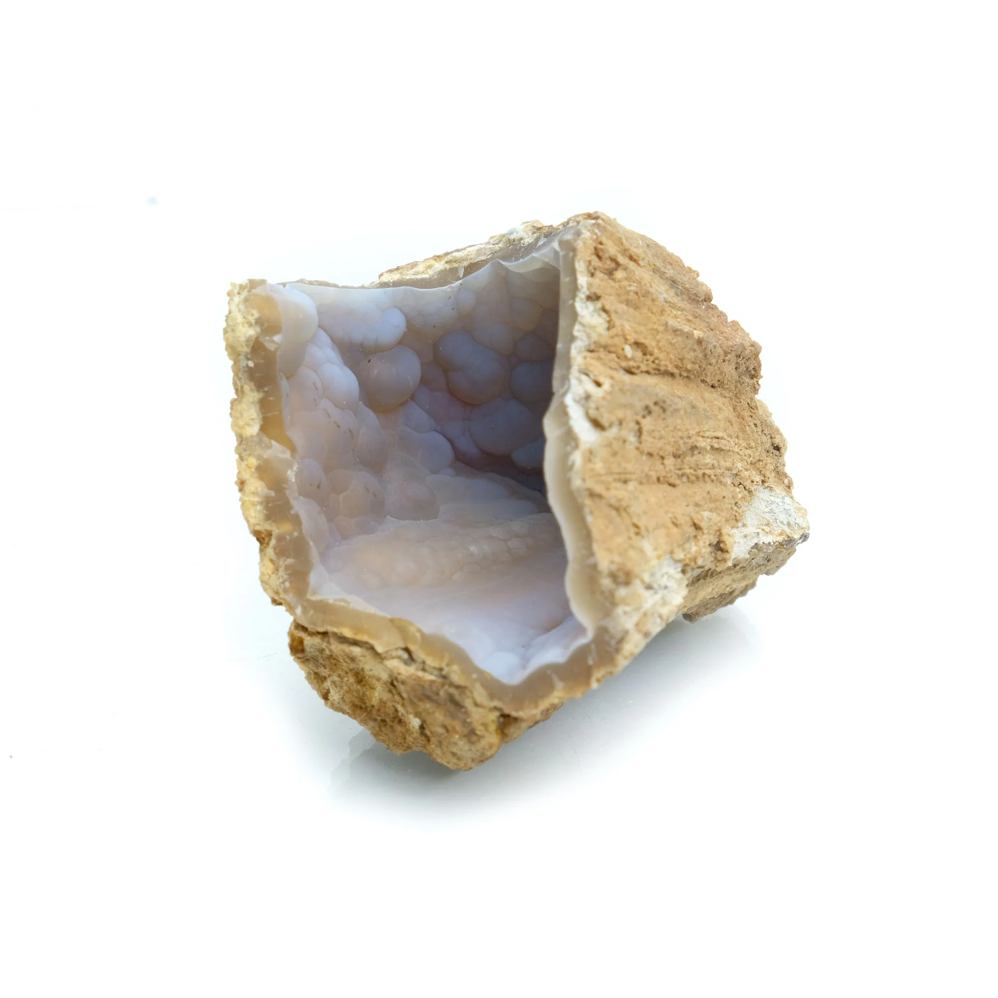 Fossilized Coral in Botryoidal Form with Silicate Druzy Specimen #99 - Image 5