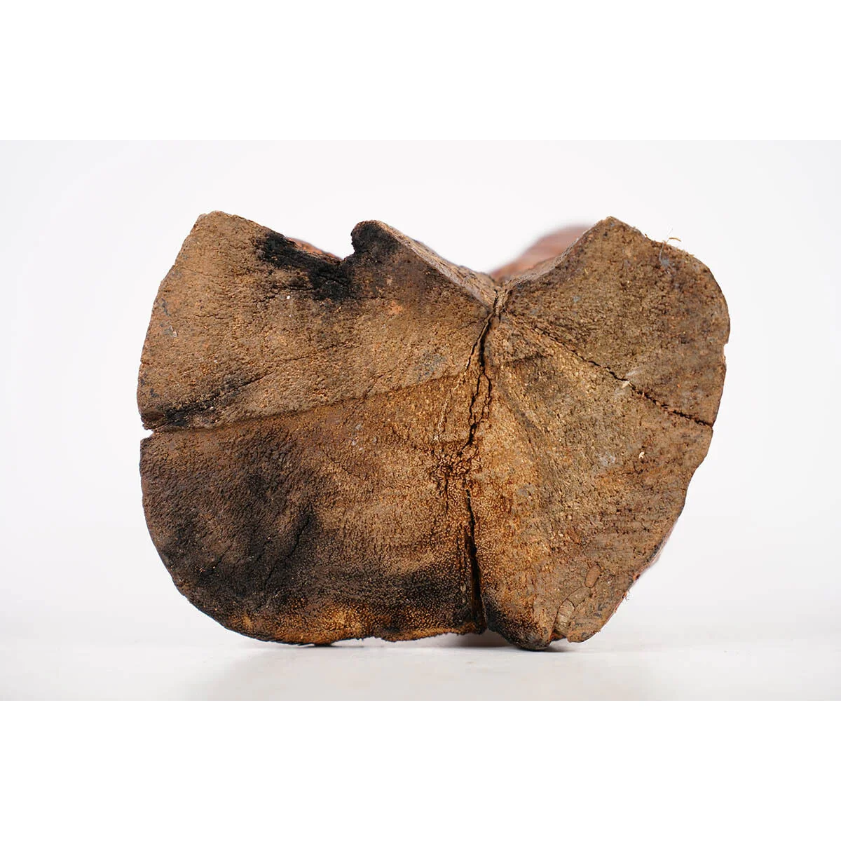Yoruba Kneeling Female Figure, Nigeria #1111 - Image 8